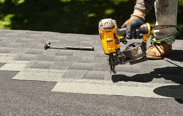 Best Solar Panel Roofing Installation  in Borger, TX